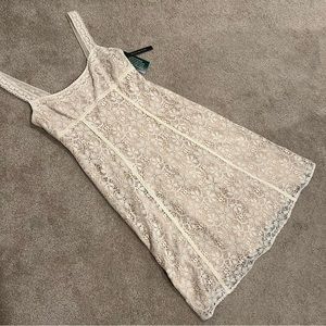 NWT David Meister lace dress- womens size 8